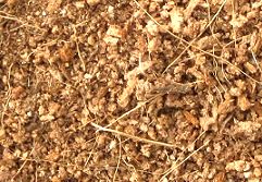 Coco Peat A grade