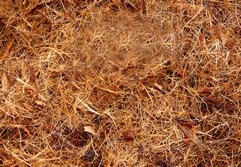 Cut Fiber